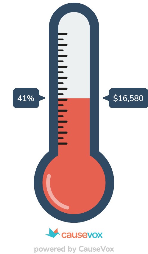Fundraising thermometer at 41%