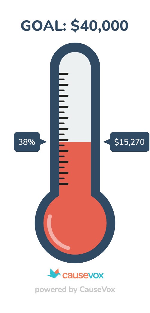 Fundraising thermometer by CauseVox