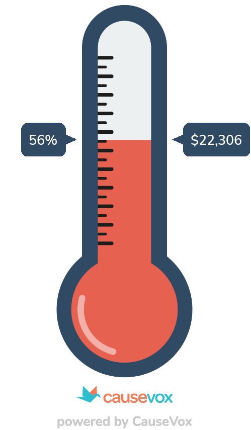 Fundraising thermometer at 56%