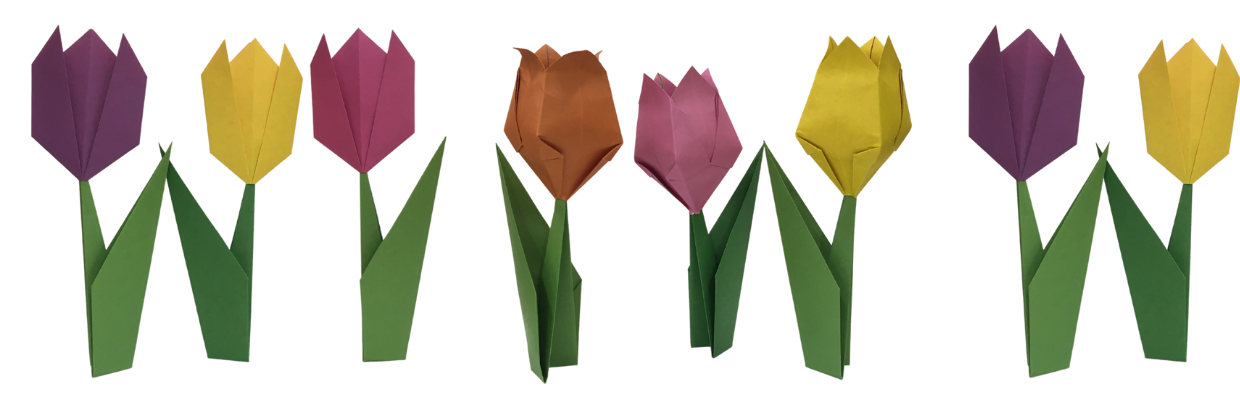 Adult Craft Kit: Origami Tulips